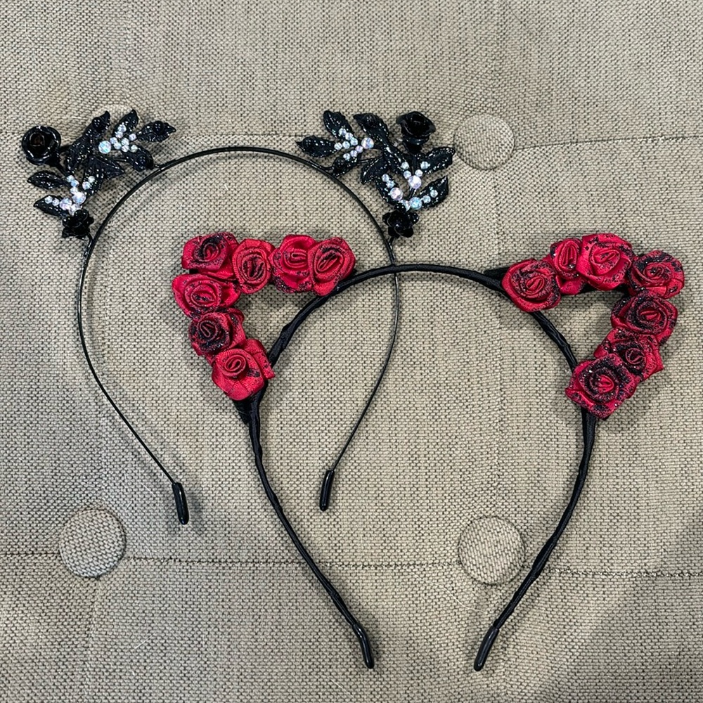 Pair of dress up cat ears 😻